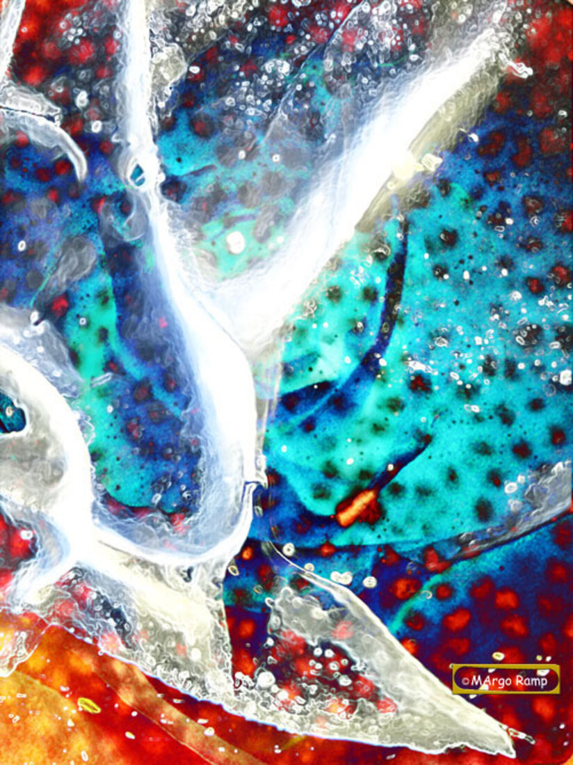 Bevroren SuperNova 6 Echo van Oneindigheid