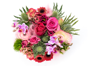 Beelden van een reeks van foto's die op verschillende punten zijn scherp gesteld en daarna softwarematig zijn samengevoegd. Dit om een grotere scherptediepte te krijgen.