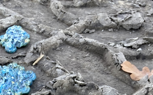 We leven in een wereld waarin echt soms niet meer te onderscheiden is van nep of vals. Zo komen mensen terecht in eigen werelden. ik maakte eerder 'archeologische vondsten'. Ik deed ontdekkingsreizigers na die hun vondsten op een bord of kast prikten voor studie of voor de show. Nu voeg ik een element toe. De vindplaats. Ik plaatste de 'vondsten' in geschikte omgevingen 'als bewijs van hun onechtheid'.