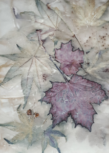 Ecoprint op papier in passe partout.