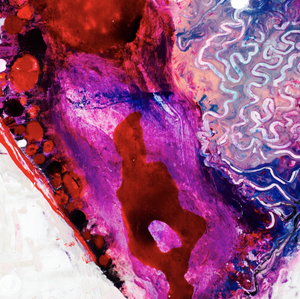 Schilderingen gebaseerd op de 6 persoonlijkheidsstructuren 