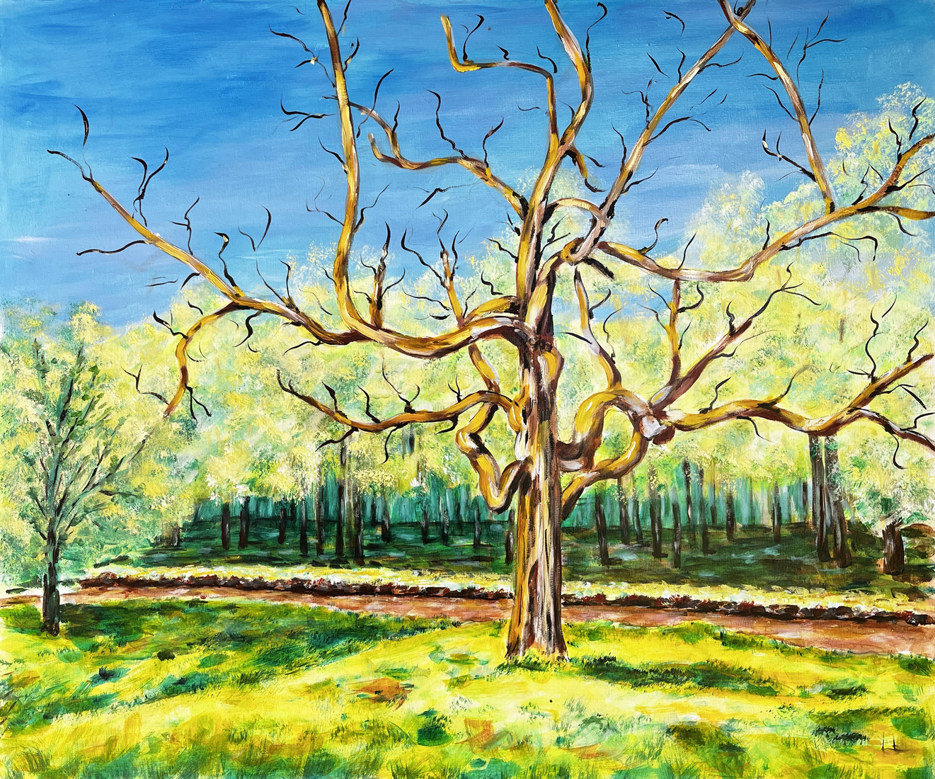 Oude boom Dommeldal