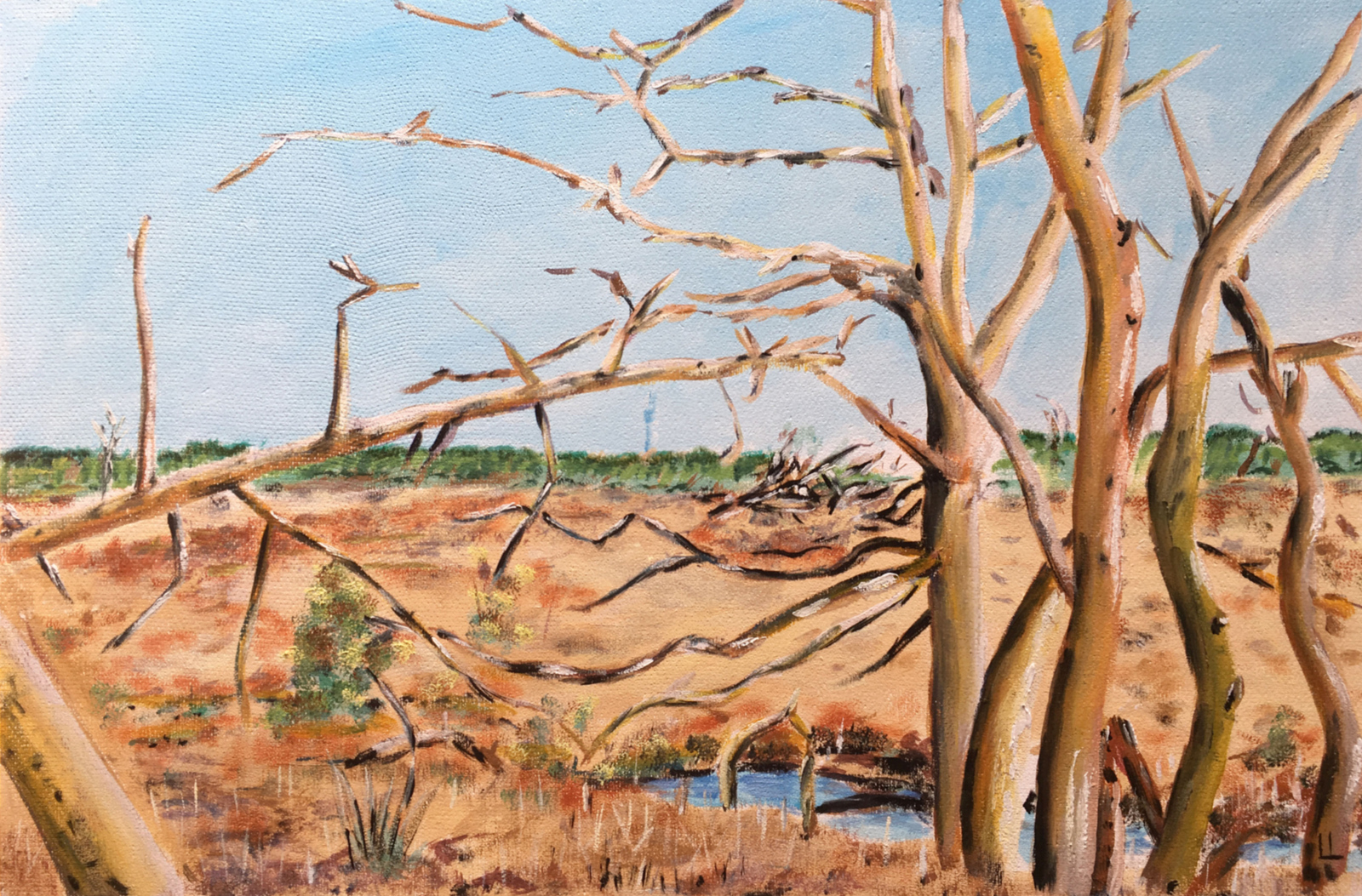 Strabrechtse heide Mosven