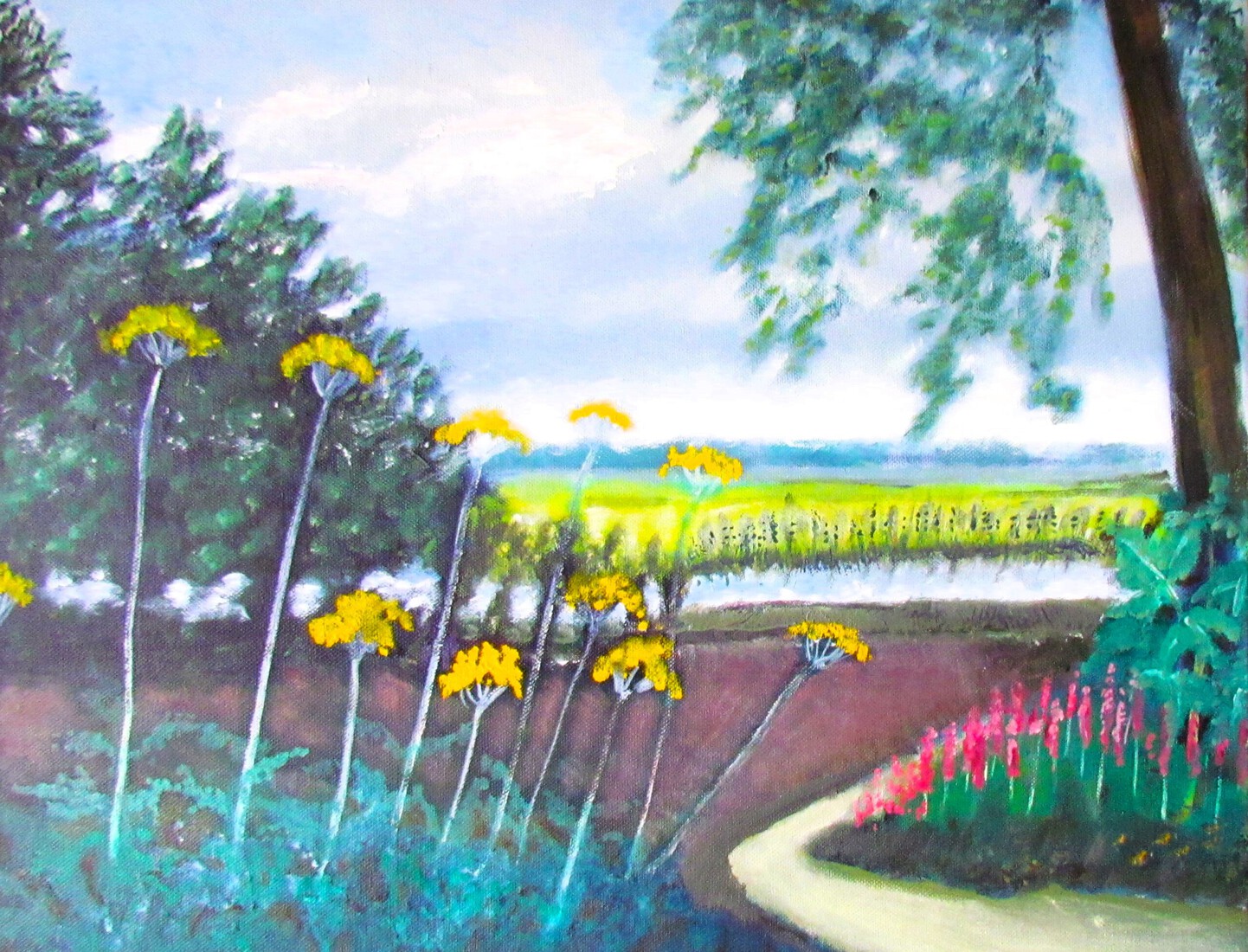 Mijn tuin in Noordwest