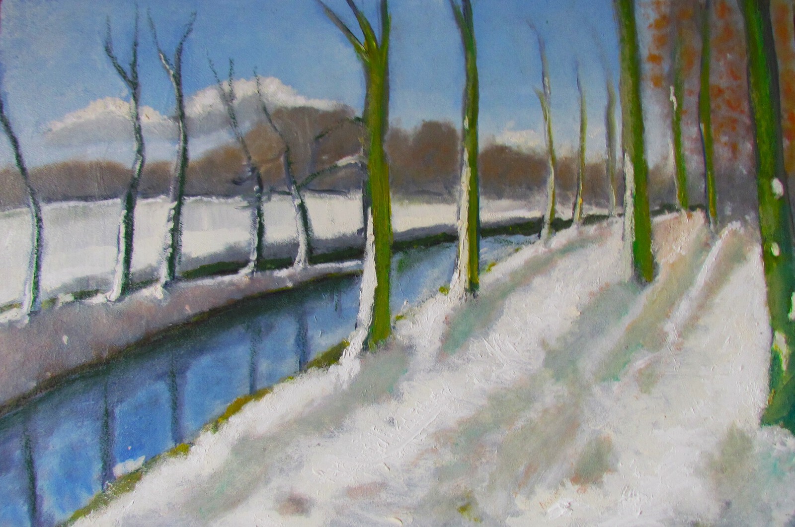 Renkumse beek in de winter