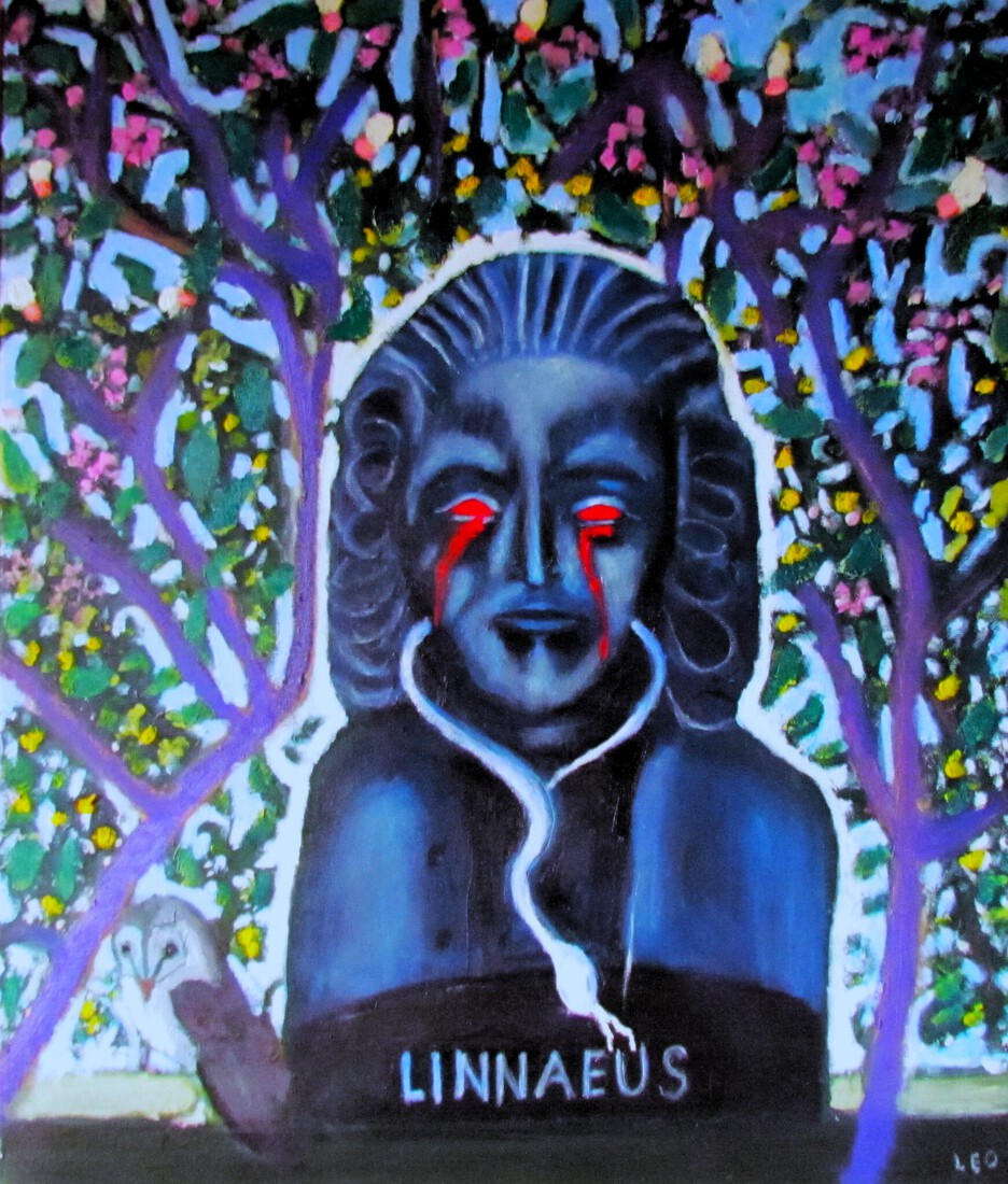 Linnaeus huilt