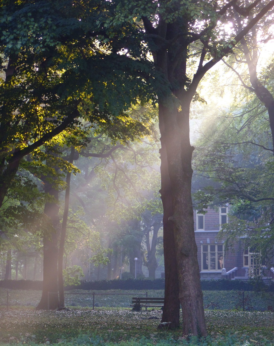 Misty Schotman Kasteel