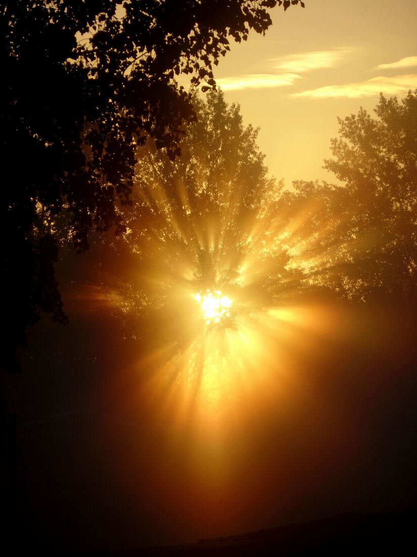 Misty Twintig Hoeven