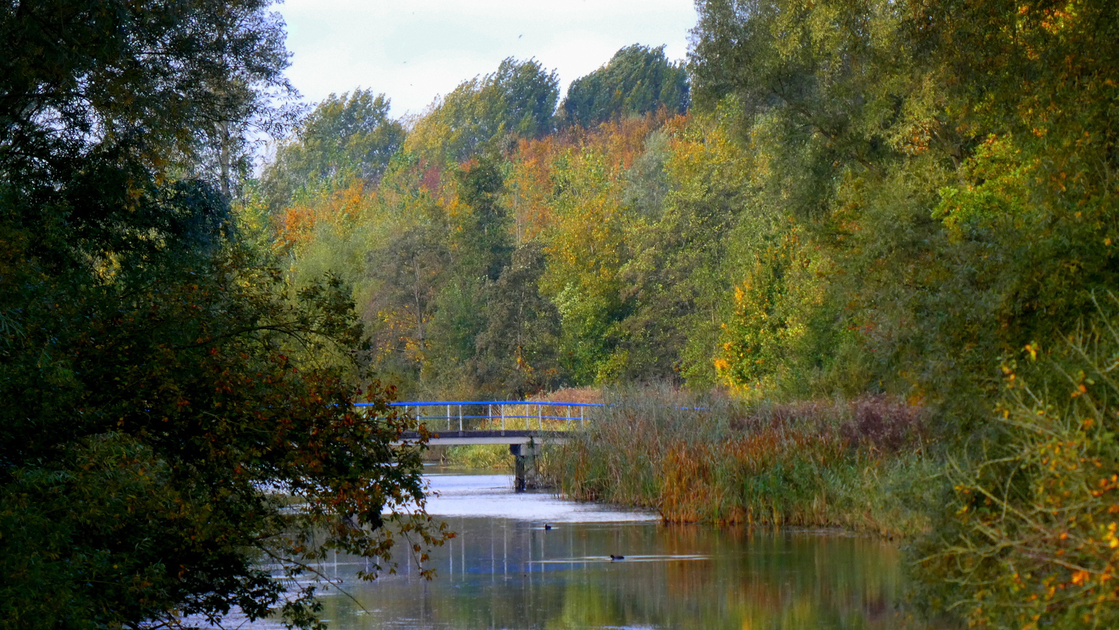 Herfst Brug