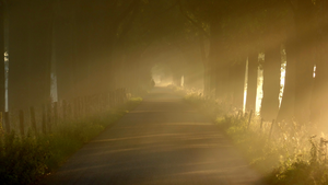 Foto's in en om Dordrecht waarbij de zon een belangrijke rol speelt.
