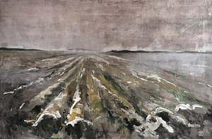 Ik hou van het licht in Noord Nederland, van de wadden en de zee en het voortdurende ritme van verandering