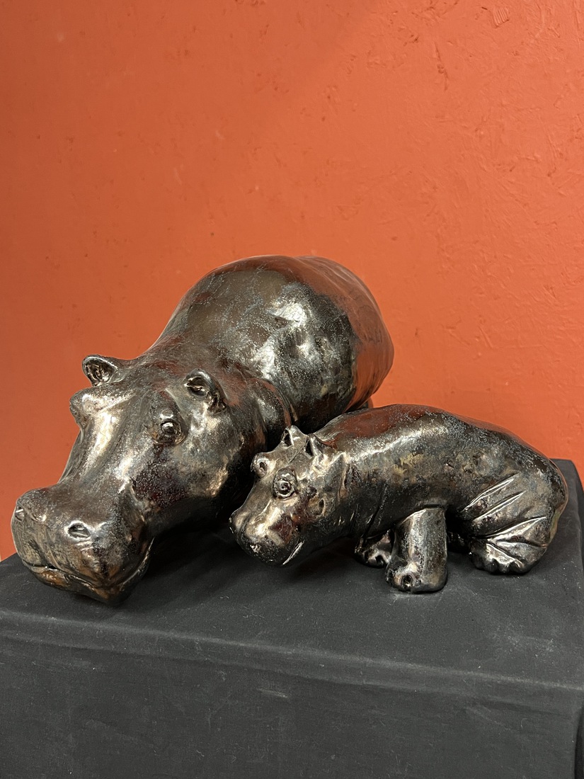 Nijlpaard moeder met haar kind