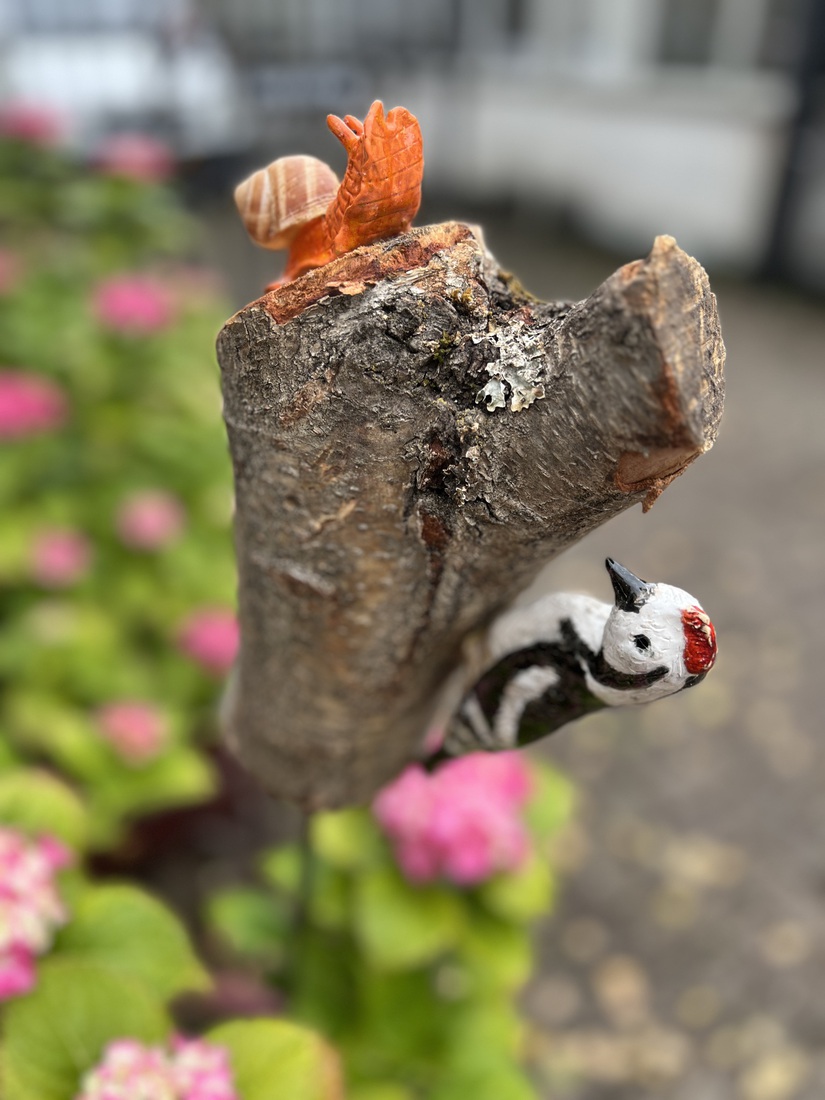 Specht met slak op een boomstam