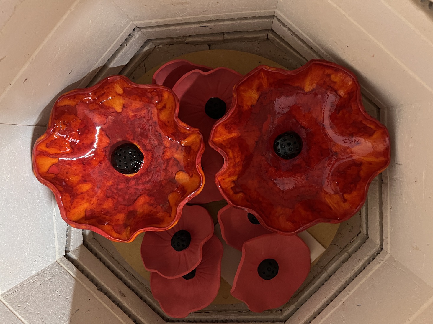 Poppy 