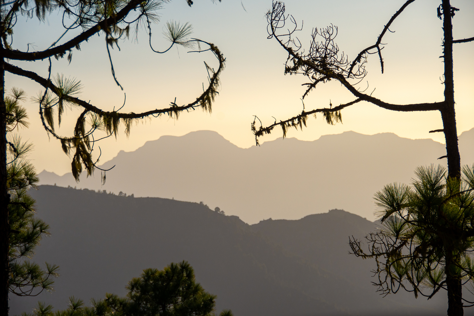 Gran Canaria