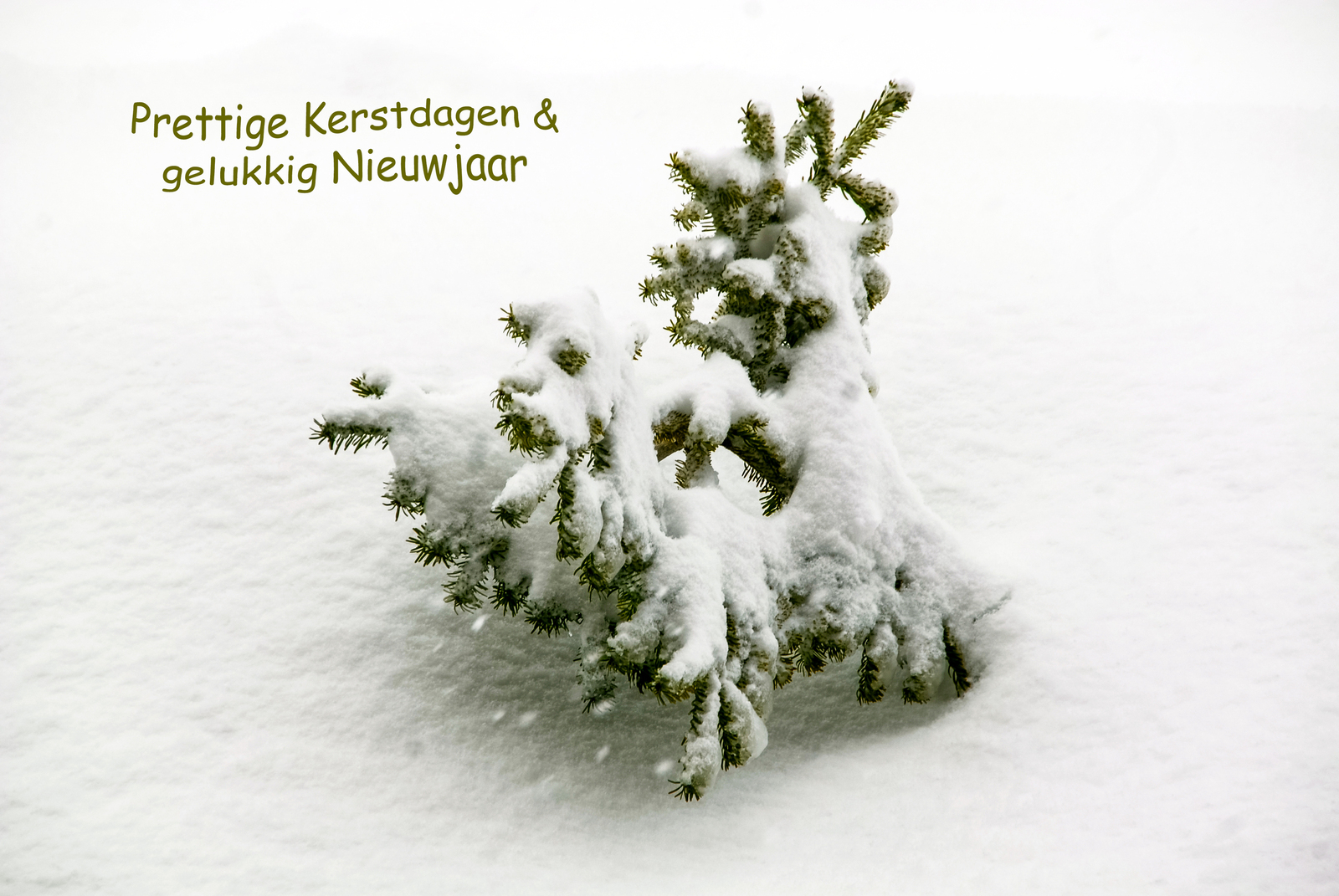 Fijne Kerst en Gelukkig Nieuw Jaar