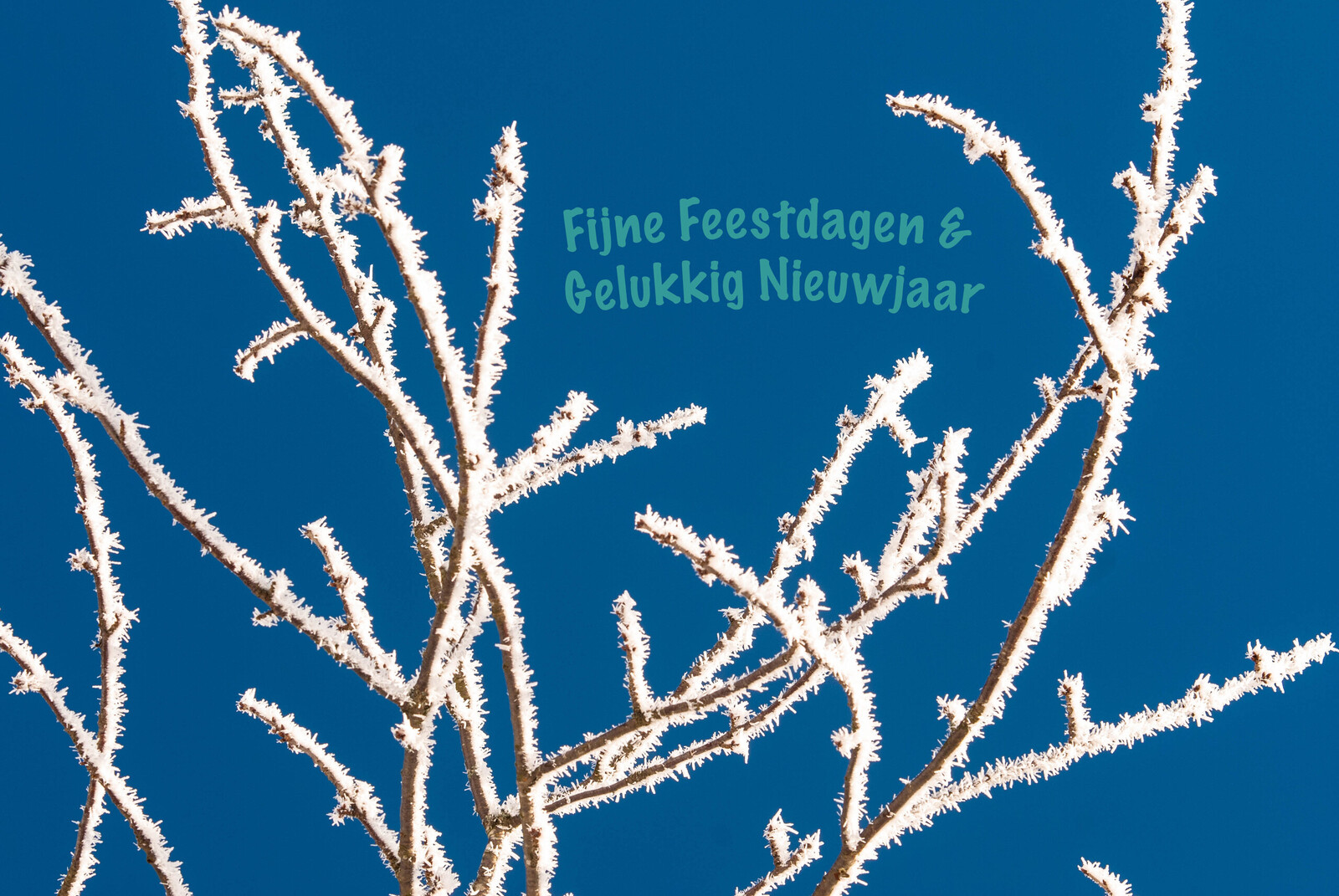 Fijne Kerst en Gelukkig Nieuwjaar