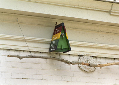 Rastavogel