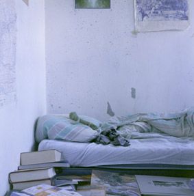 Bed van Zol
