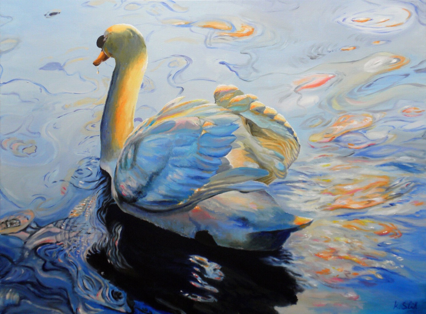 Zwaan in avondzonnetje