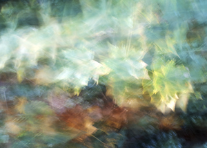 De Bewogen Camera
Foto's gemaakt door surrealistisch te schilderen met licht
Foto's gemaakt door o.a. gebruik te maken van ICM (intentional camera movement)
