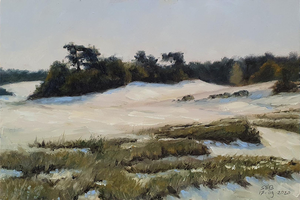 Vanaf de zomer van 2019 kom ik regelmatig op de Kootwijker Zandverstuiving (de grootste in Europa) om er te schilderen. Het is een onuitputtelijke bron van mooie vergezichten en spannende vormen. En, als je iets verder loopt, waan je je er helemaal alleen. 