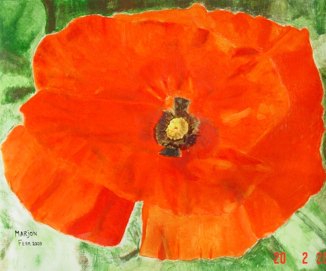 Klaproos voor Ma Sud