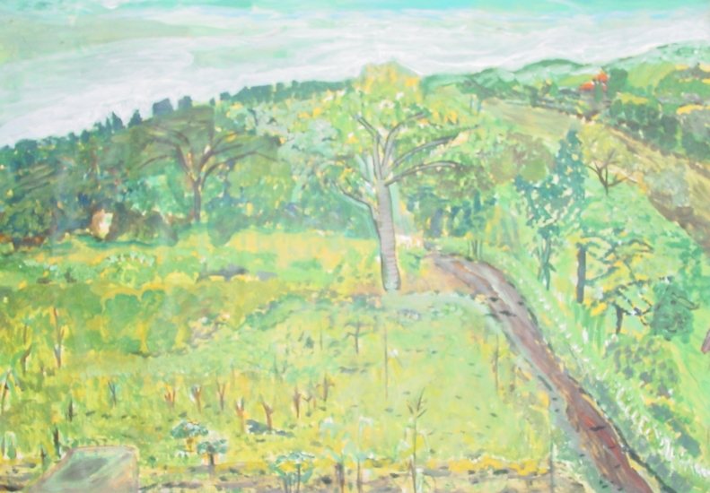 Het uitzicht vanuit de keuken van ons huis op Bulamu