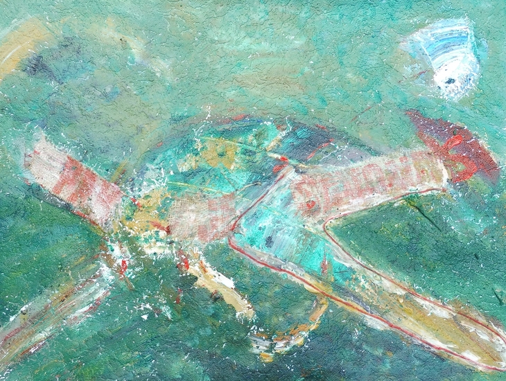 Funshoes in the Forest