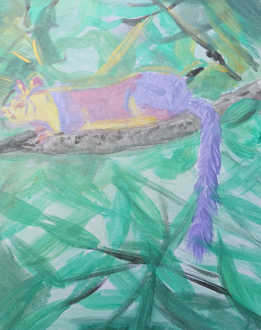 Sta Op en Schitter - Indiase Eekhoorn