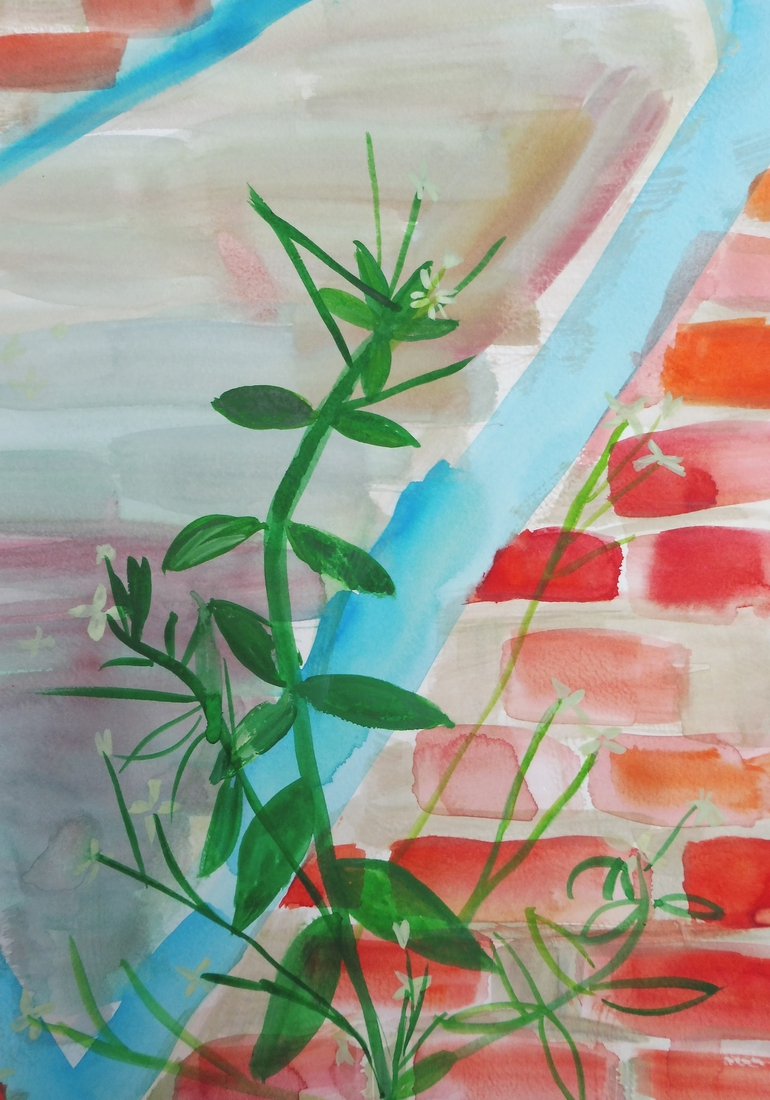 Onkruid vergaat niet