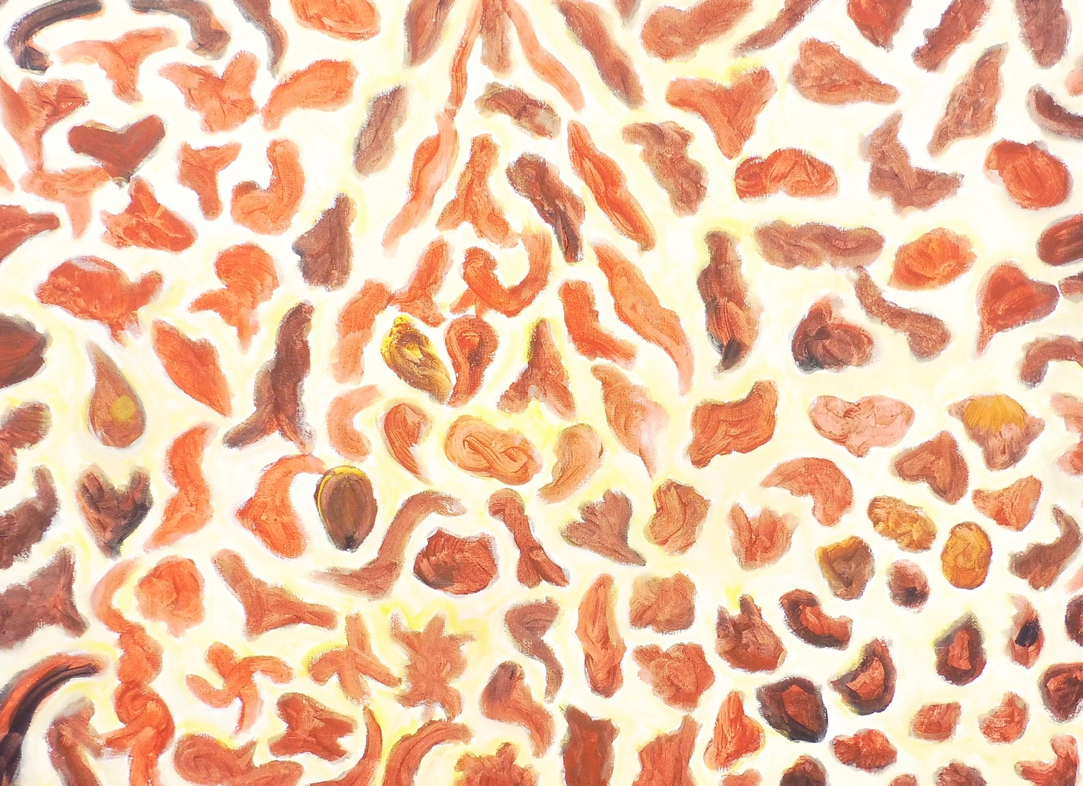 Wie aan de armen geeft, lijdt nooit gebrek