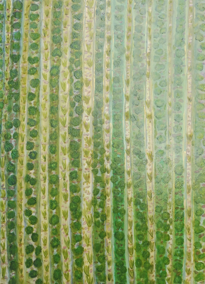 Er zullen weer akkers worden gekocht in Anatoth.