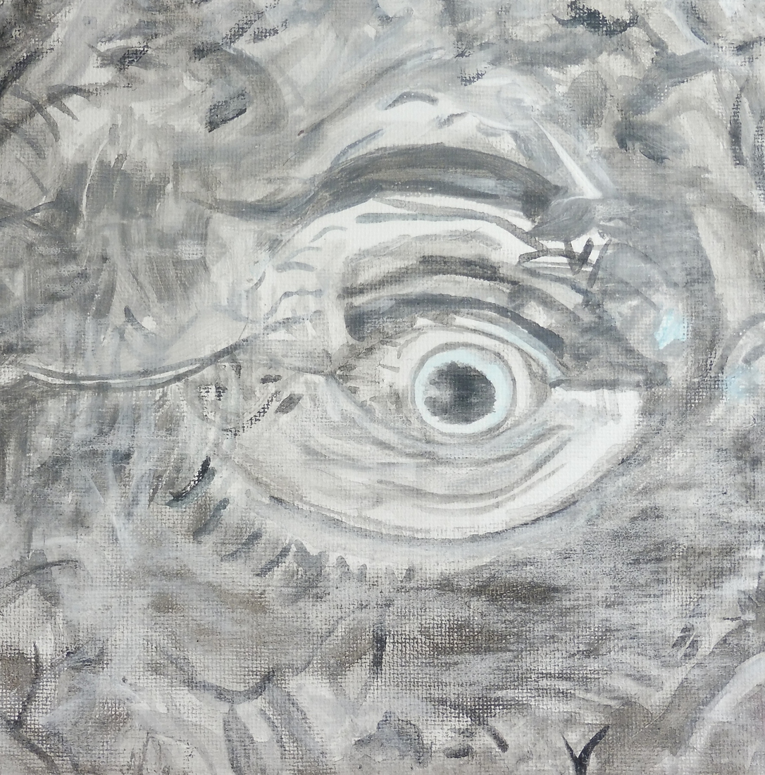 Het oog van een potvis