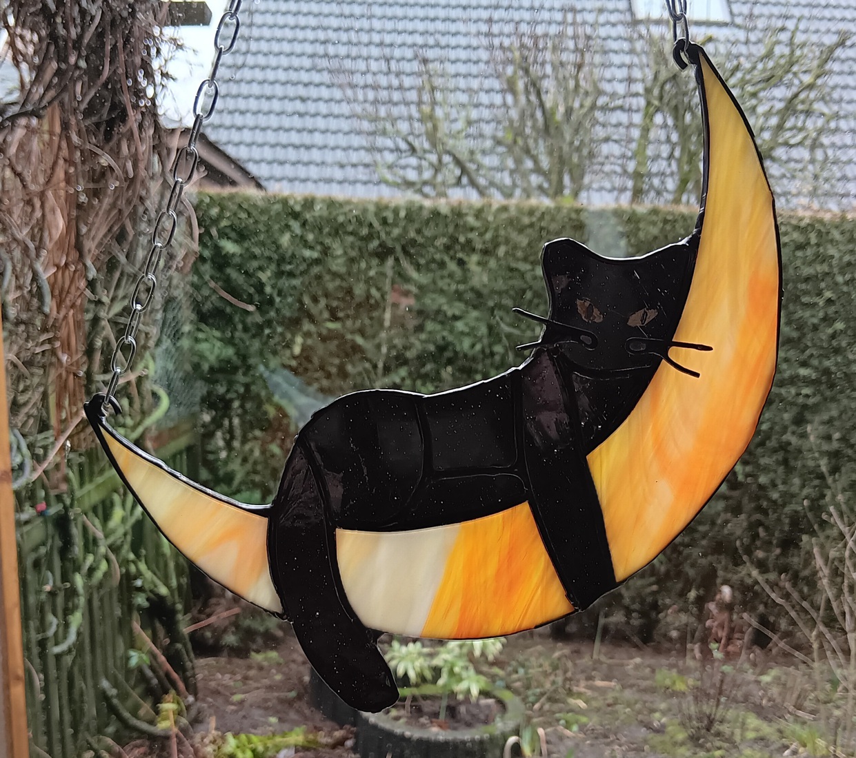 The Cat and the Moon