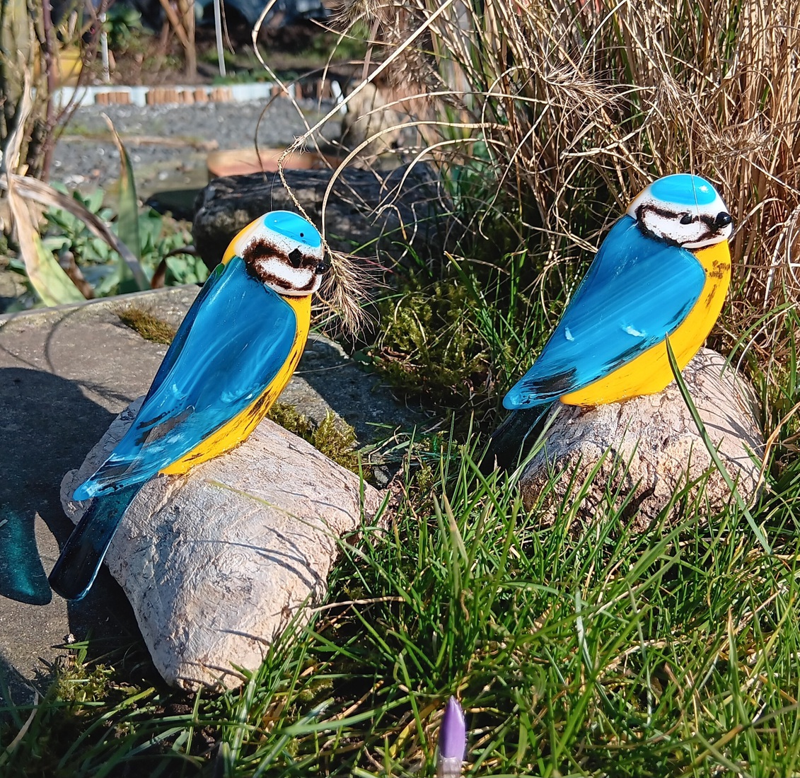 Beryl and Bob Bluetit