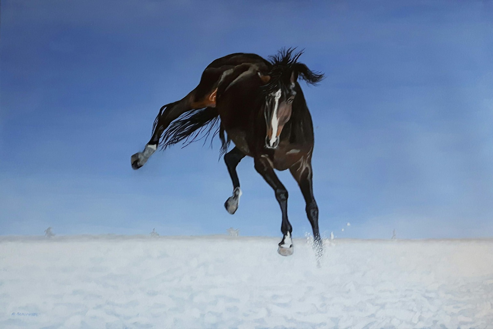 Paard dartelend in de sneeuw 