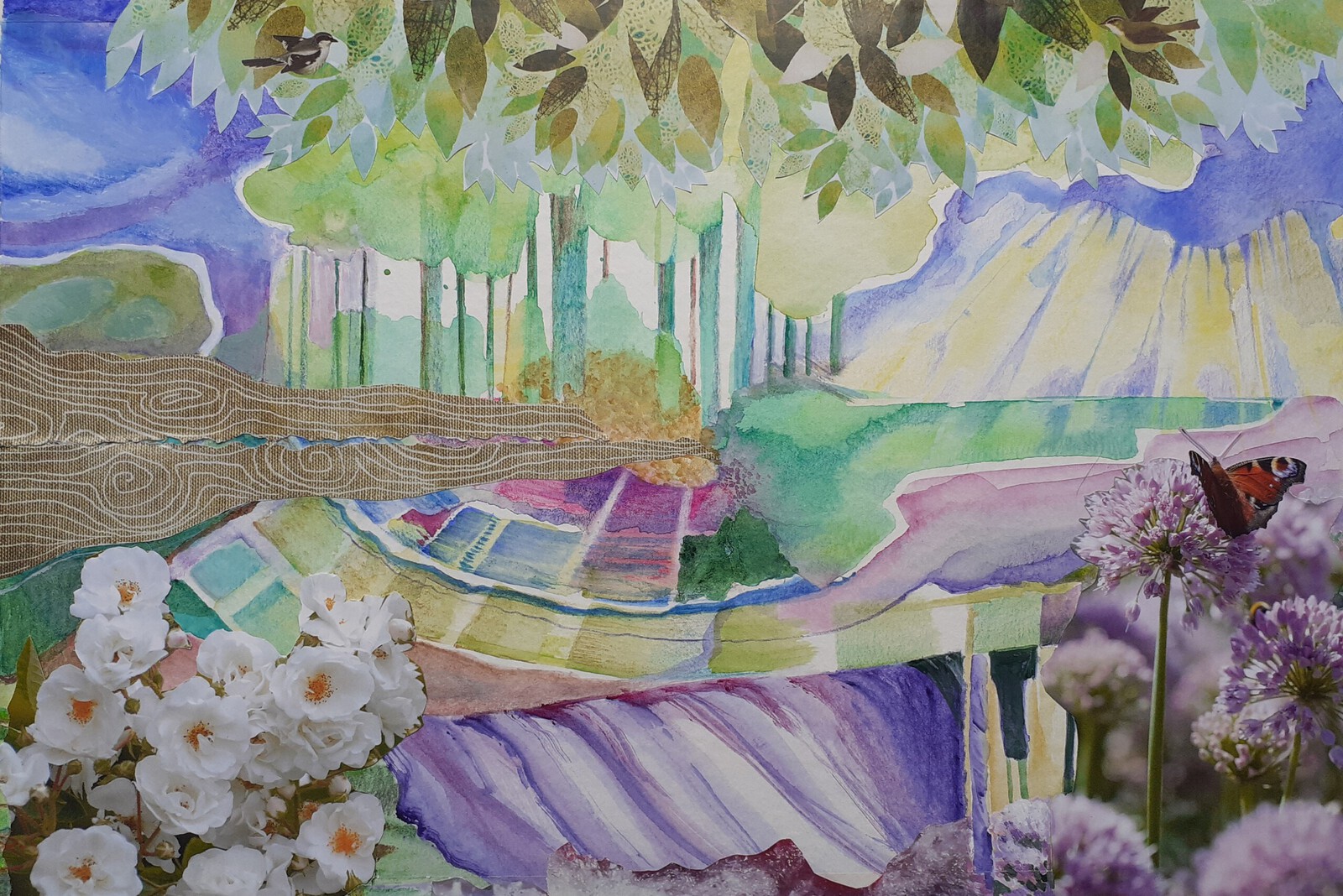 The world a better place