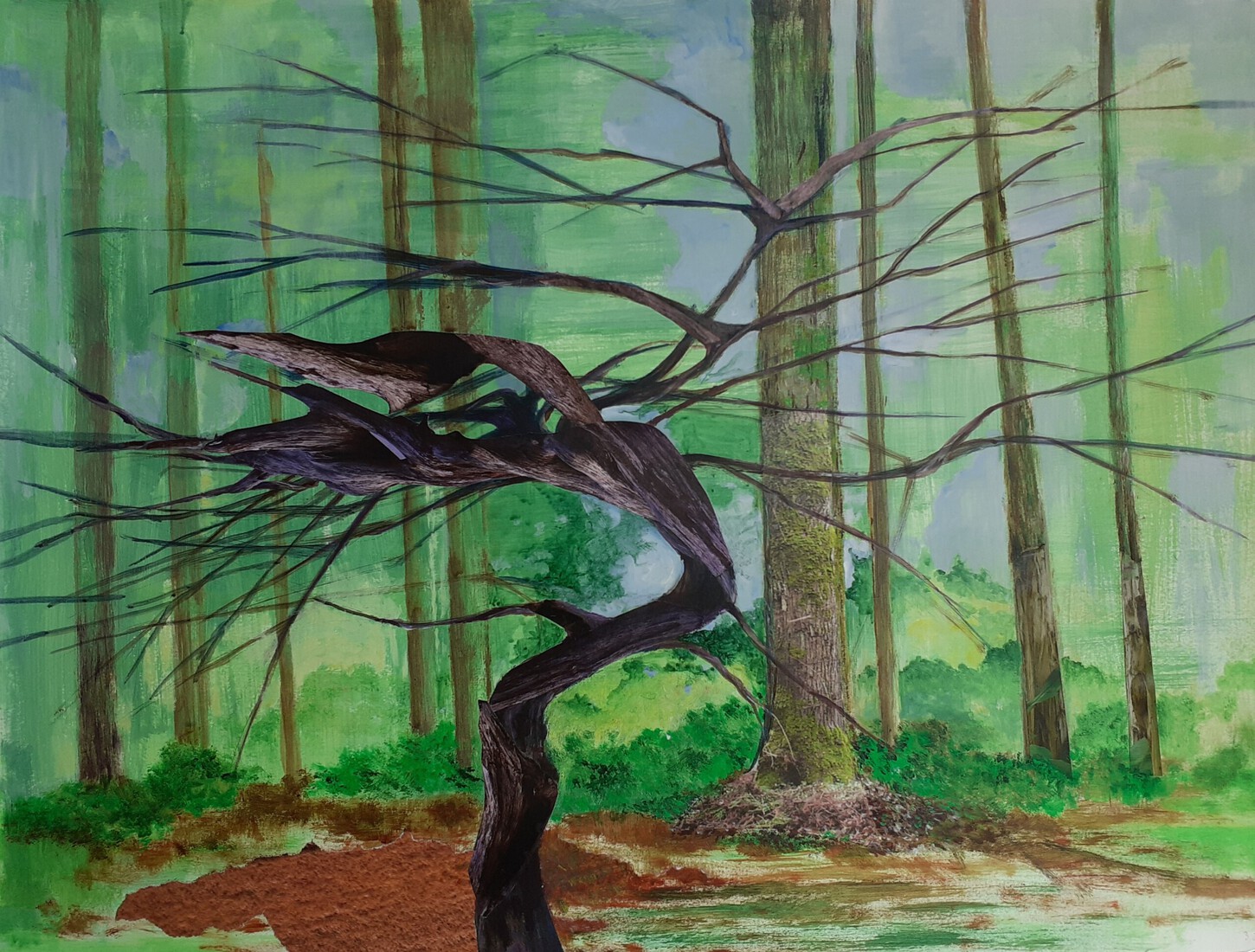 Boompje in de Pannenhoef