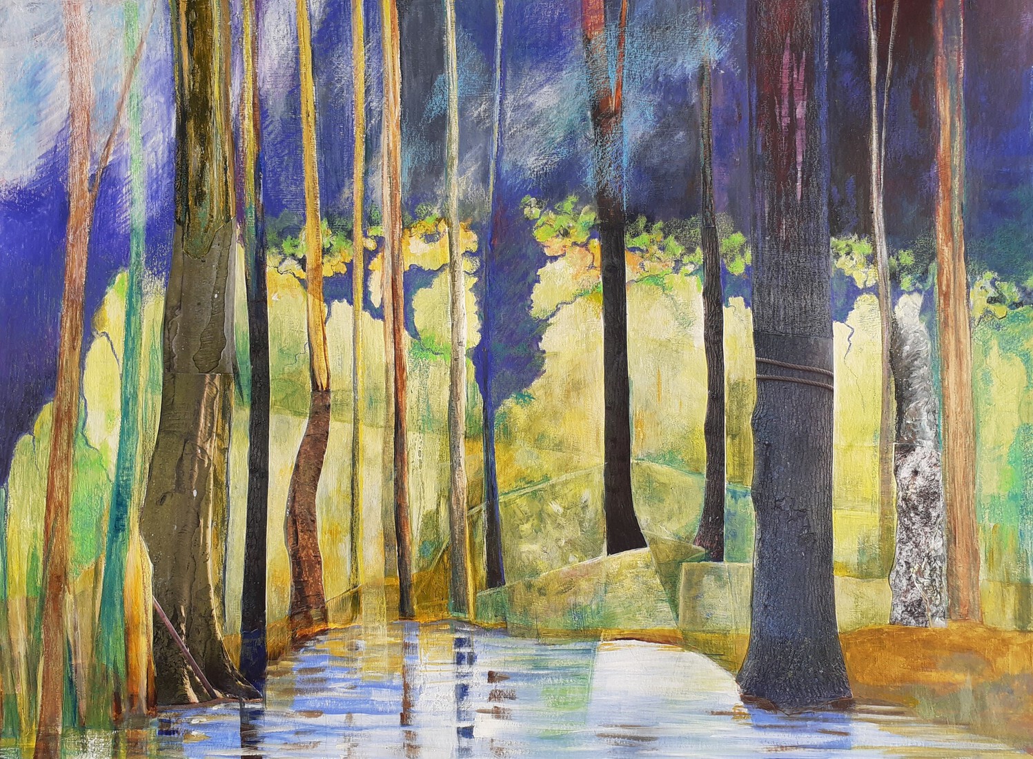  Stammen in het water