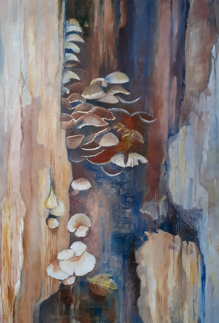 Paddenstoelen