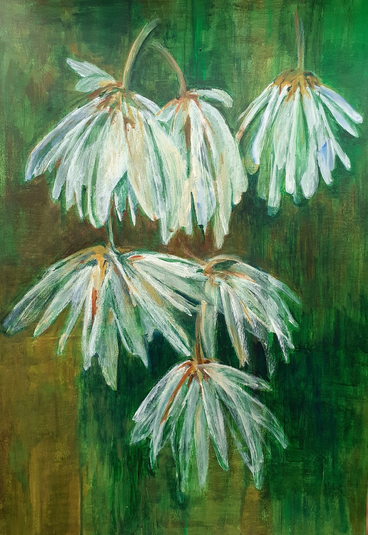 Chrysant na de nachtvorst