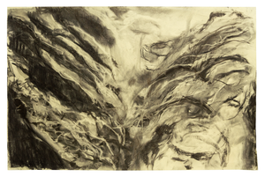 Water voelen, horen ruiken en verbeelden met houtskool en ... water