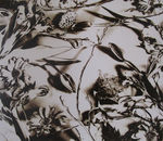 Werken met fotografie