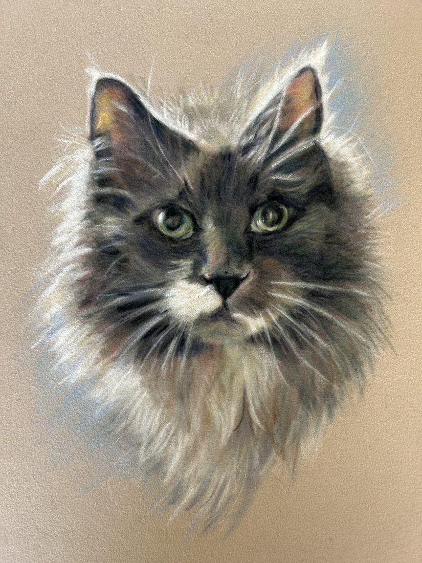 Tom
