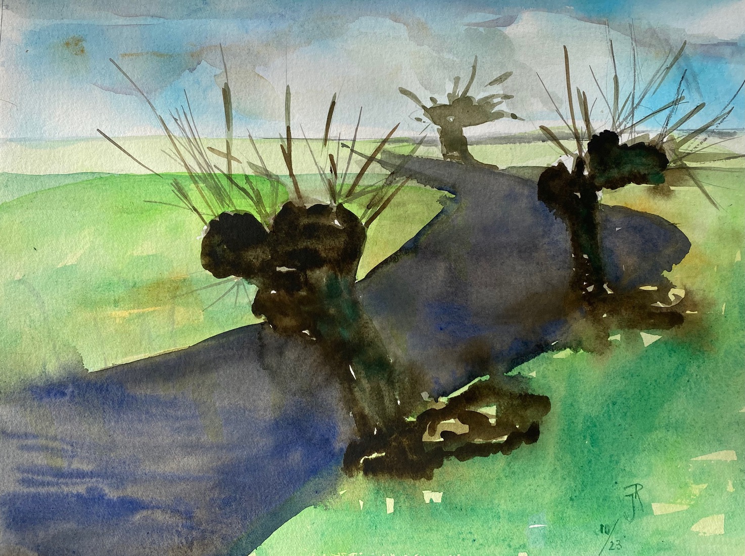 Knotwilgen langs beek