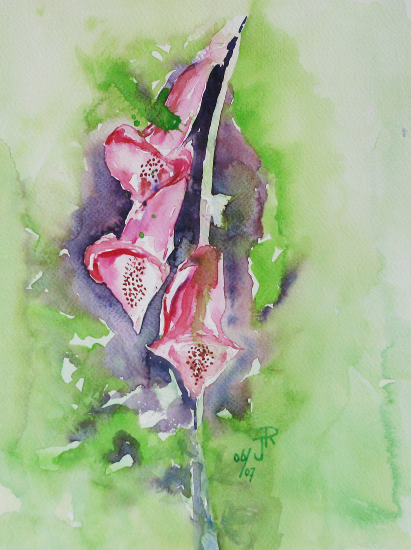 Vingerhoedskruid - digitalis