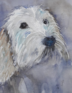  Huisdieren en boerderijdieren