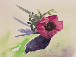 Aquarellen van bloemen