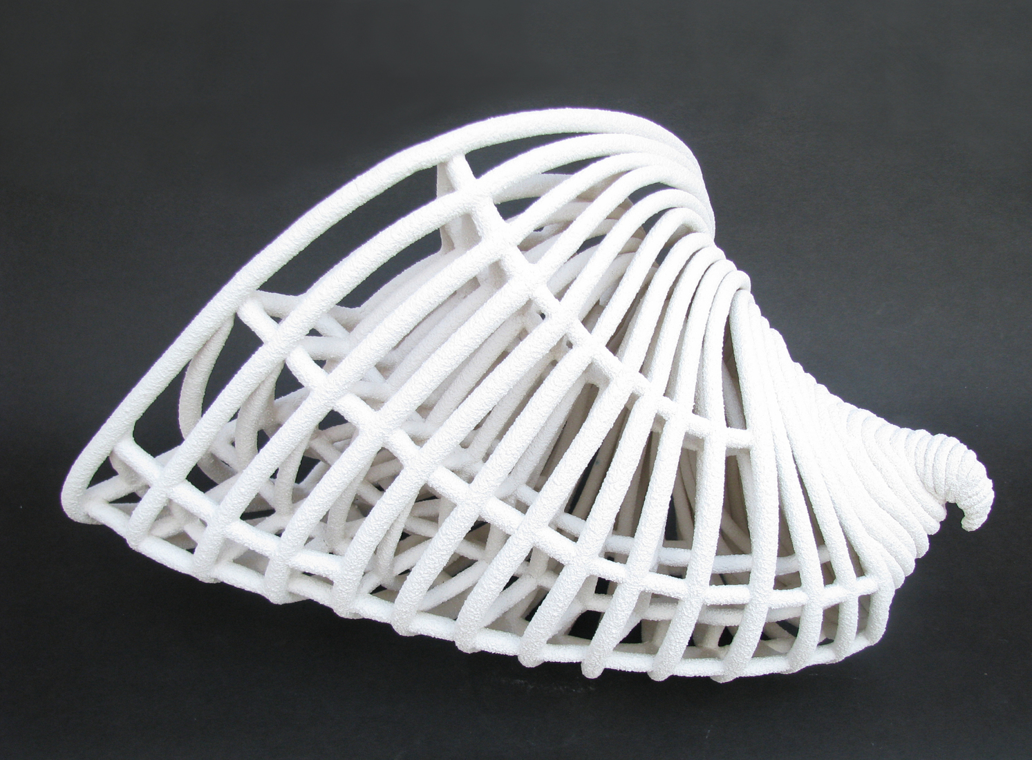 Schelpvorm  'Glossus Moltkianus Spengler' b